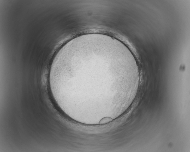 X0000116640010201001251145