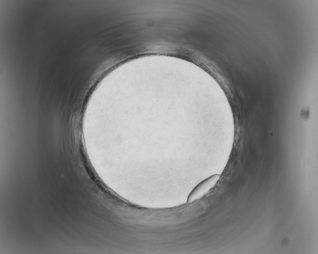 X0000116640011201001251145