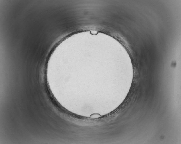 X0000116640012201001251145