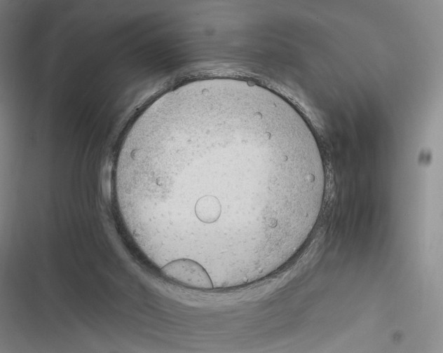 X0000116640014201001251145