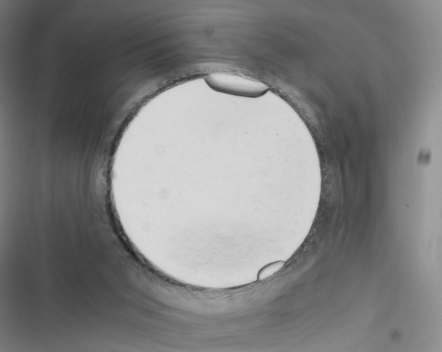 X0000116640015201001251145