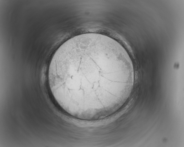 X0000116640018201001251145