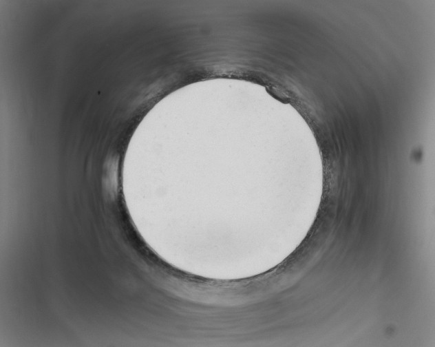 X0000116640028201001251145