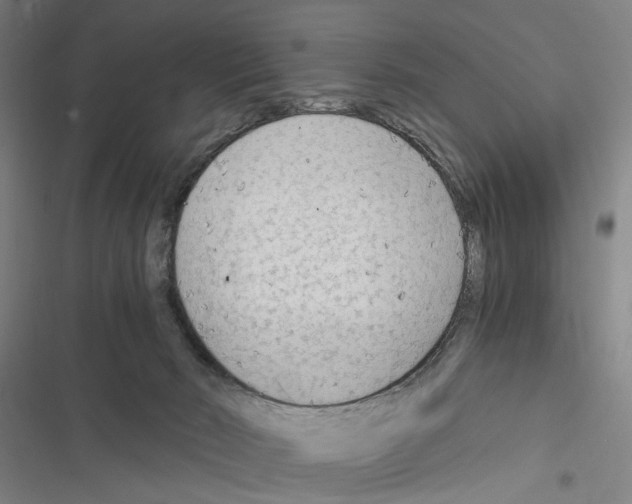 X0000116640030201001251145