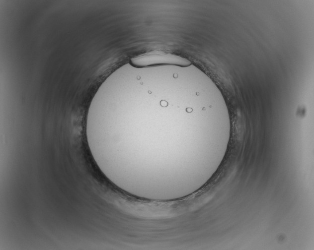 X0000116640032201001251145