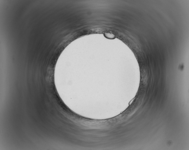 X0000116640036201001251145