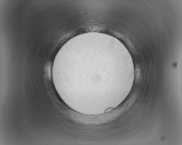 X0000116640042201001251145