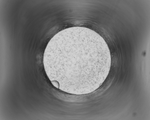 X0000116640044201001251145