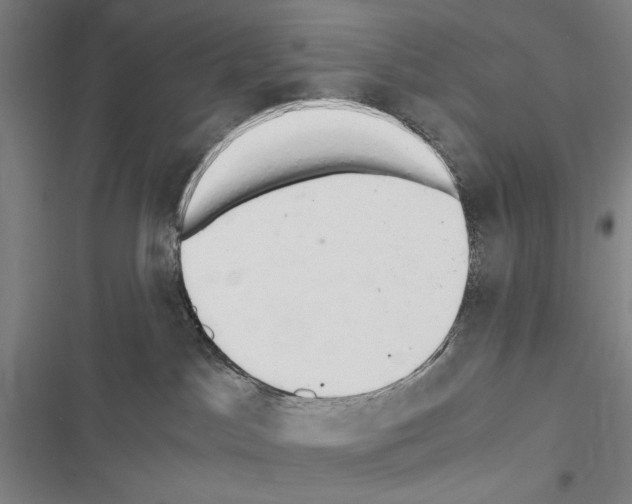 X0000116640045201001251145