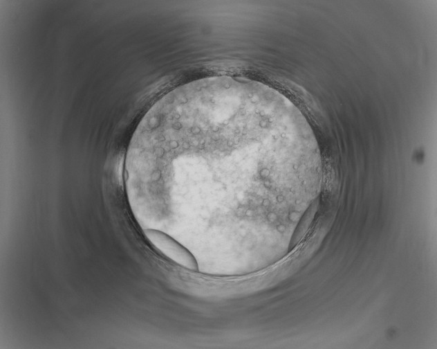 X0000116640047201001251145