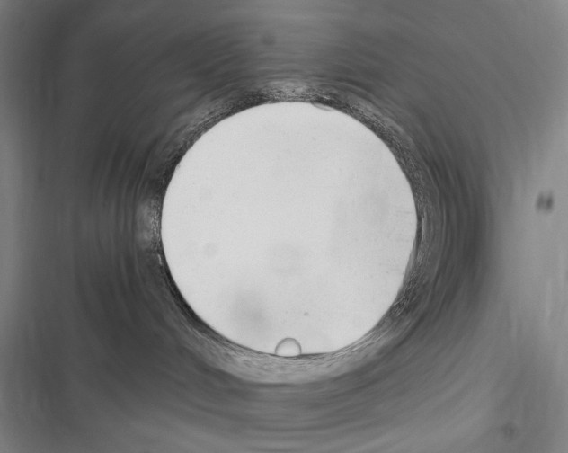 X0000116640048201001251145