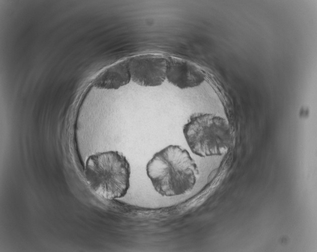 X0000116640049201001251144