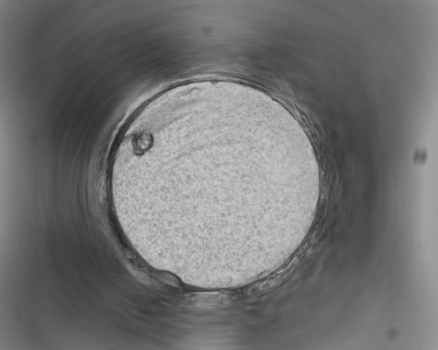 X0000116640050201001251144