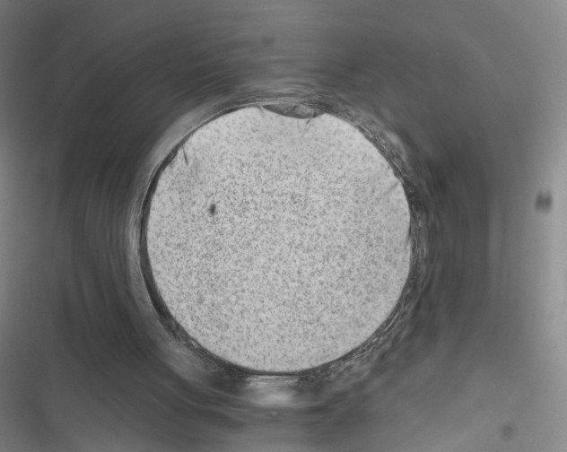 X0000116640051201001251144