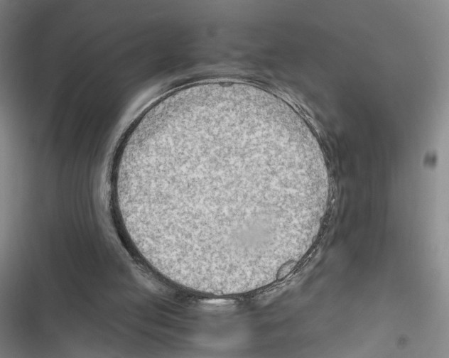 X0000116640053201001251144