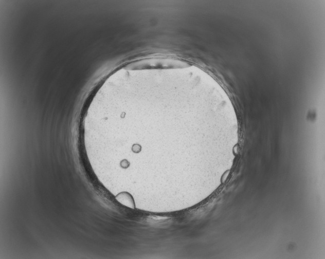 X0000116640055201001251144