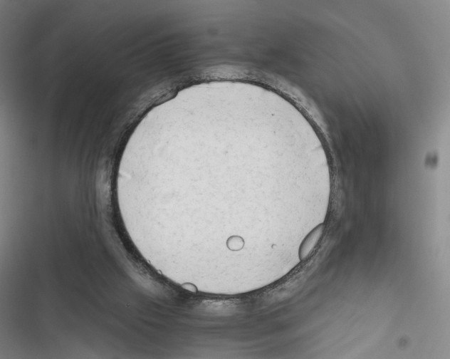 X0000116640057201001251144