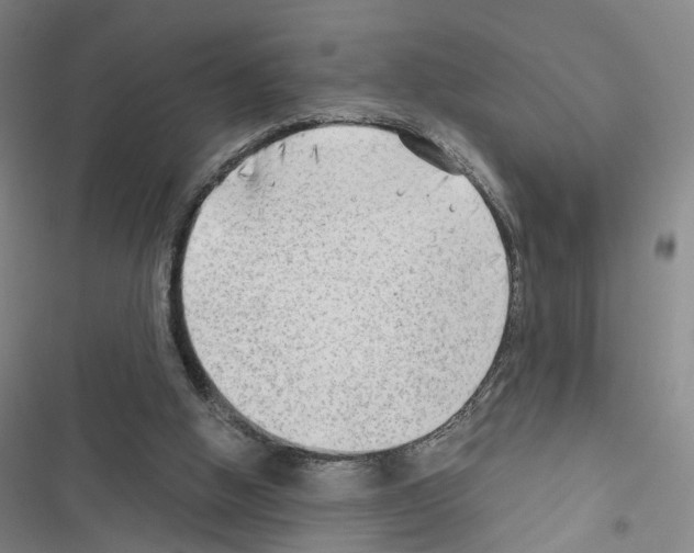 X0000116640058201001251144