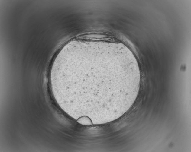 X0000116640059201001251144