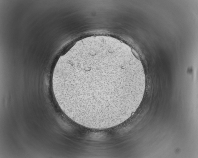 X0000116640063201001251144