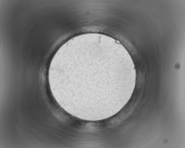 X0000116640064201001251144