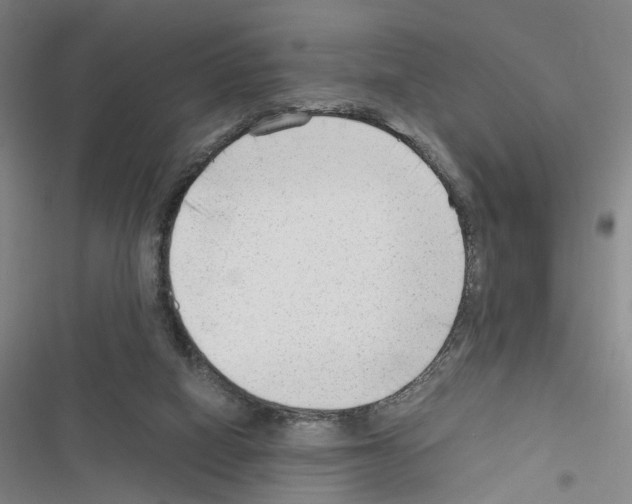 X0000116640066201001251144