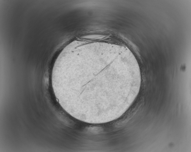 X0000116640067201001251144