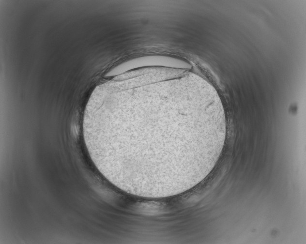 X0000116640069201001251144