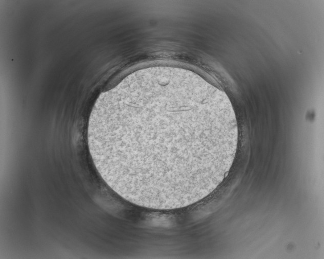 X0000116640073201001251145