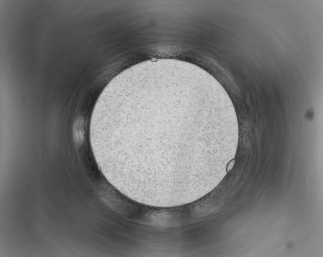 X0000116640075201001251145