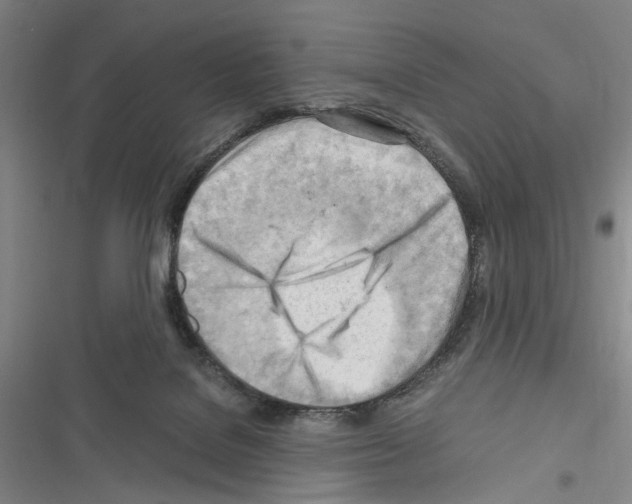 X0000116640076201001251145