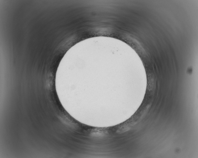 X0000116640077201001251145