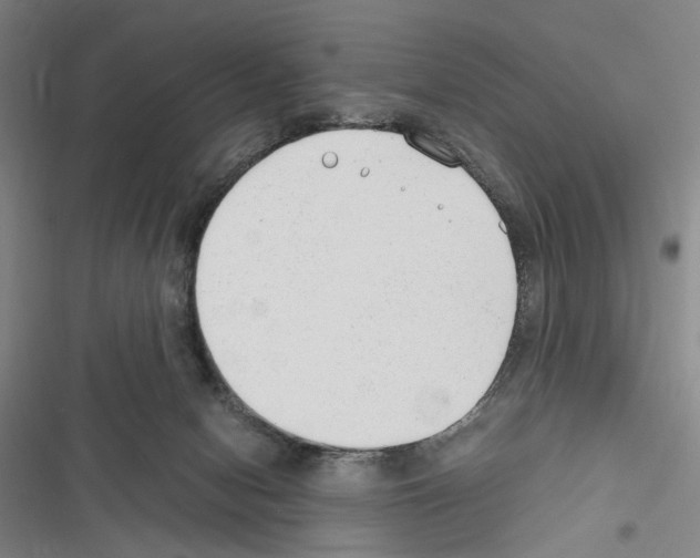 X0000116640078201001251145