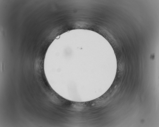 X0000116640079201001251145