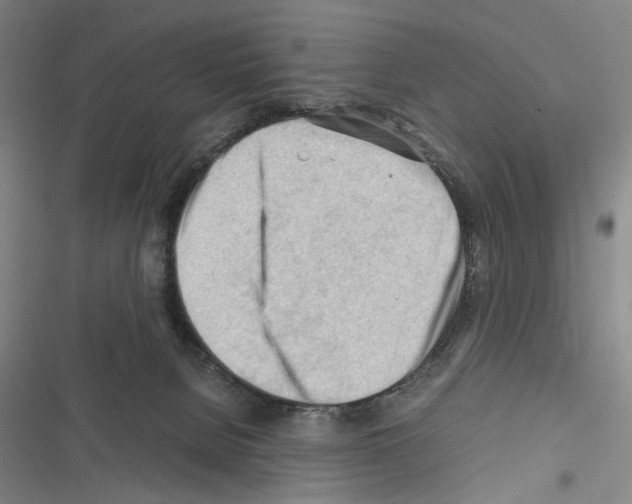 X0000116640080201001251145