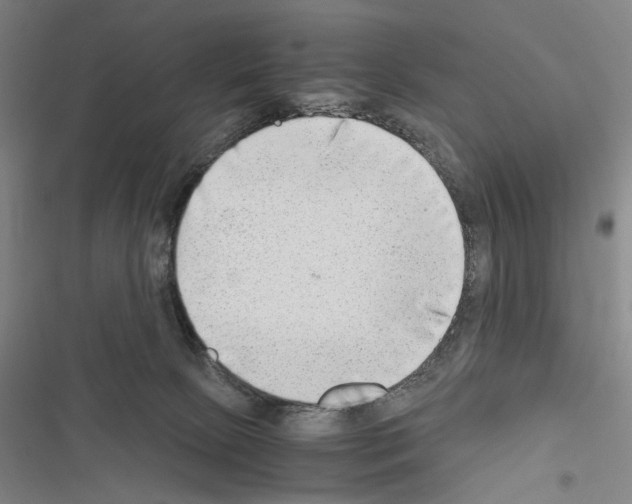 X0000116640081201001251145