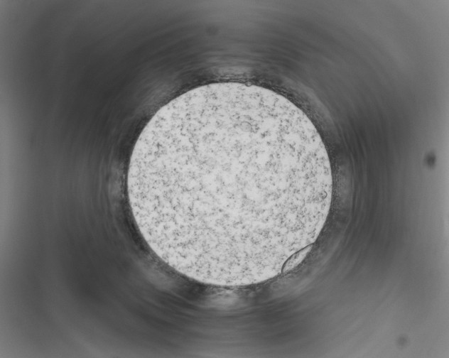 X0000116640083201001251145