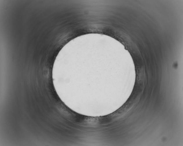 X0000116640084201001251145