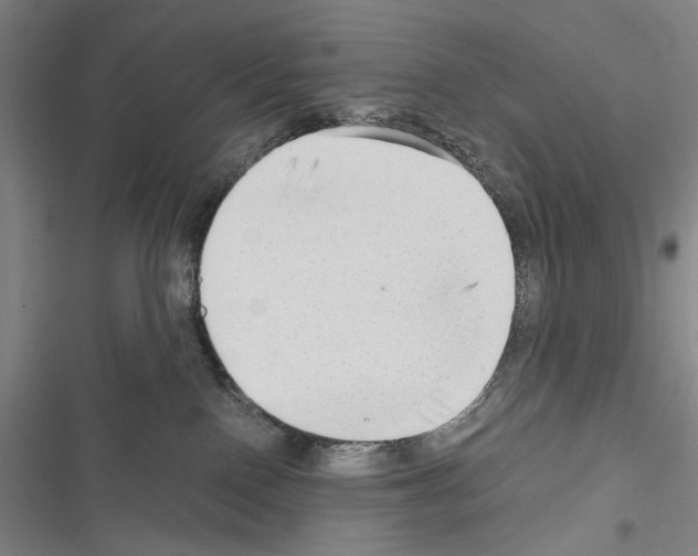 X0000116640090201001251145