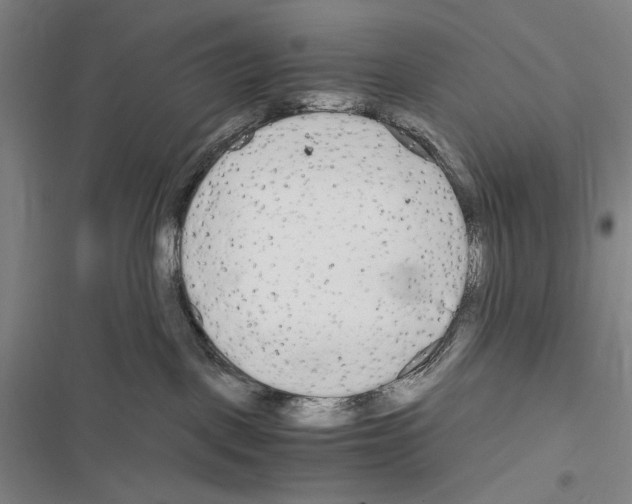 X0000116640093201001251145