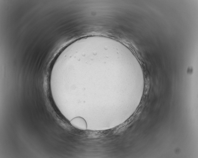 X0000116640098201001251144