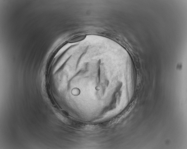 X0000116640101201001251144