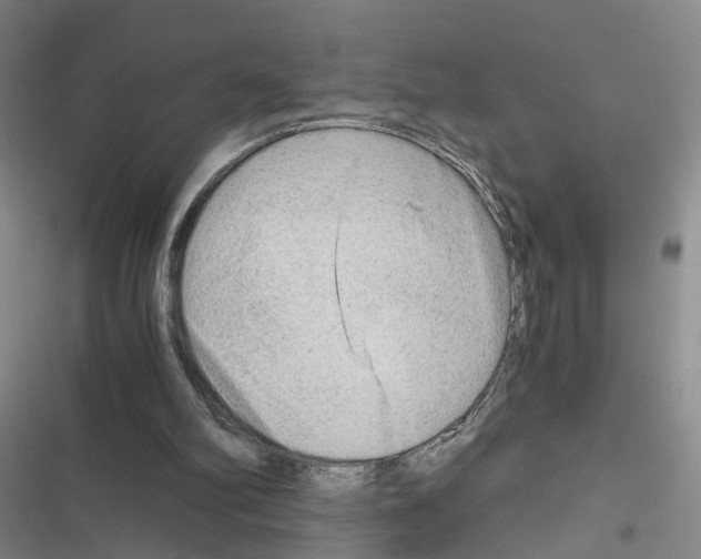 X0000116640102201001251144