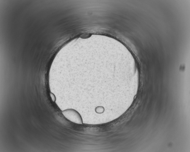 X0000116640105201001251144