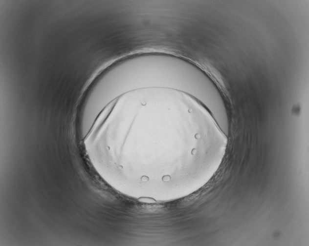 X0000116640108201001251144