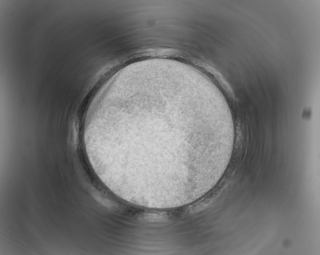 X0000116640110201001251144