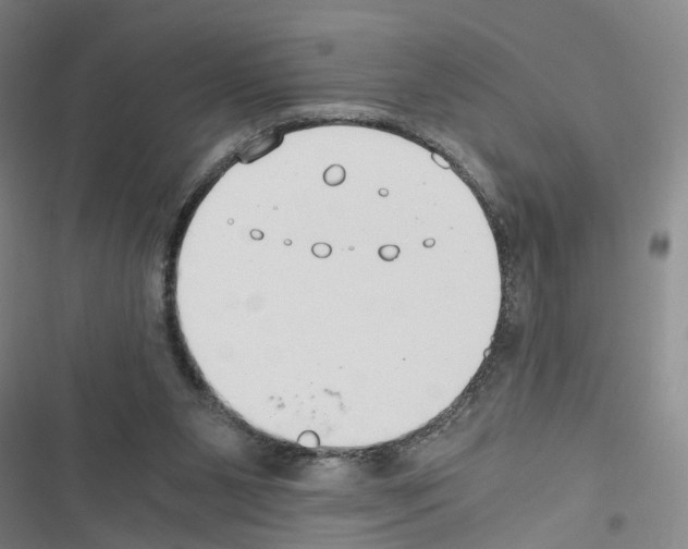 X0000116640111201001251144