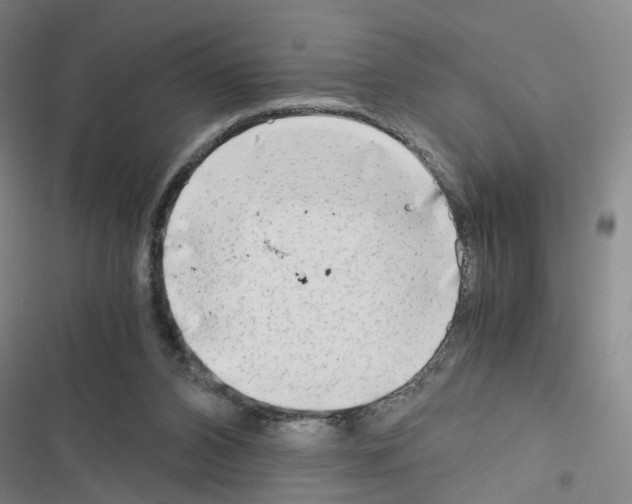 X0000116640112201001251144