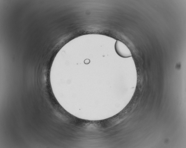 X0000116640115201001251144