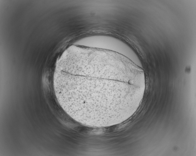 X0000116640116201001251144